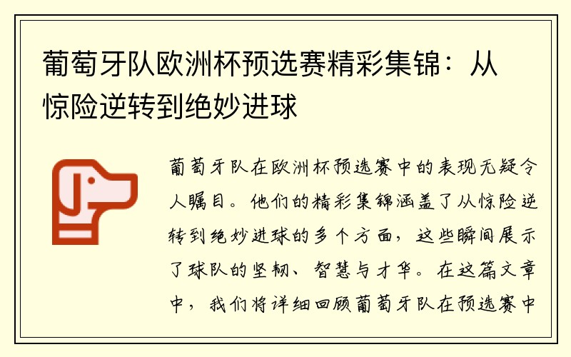 葡萄牙队欧洲杯预选赛精彩集锦：从惊险逆转到绝妙进球