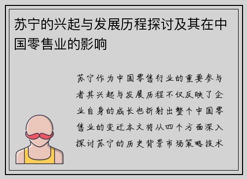 苏宁的兴起与发展历程探讨及其在中国零售业的影响