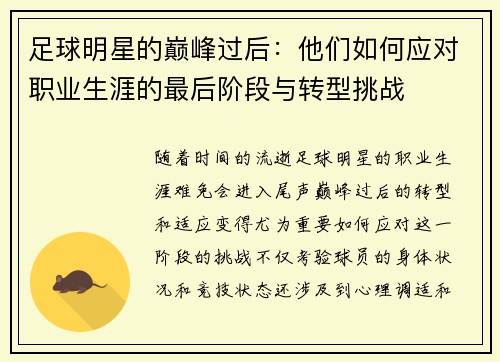 足球明星的巅峰过后：他们如何应对职业生涯的最后阶段与转型挑战